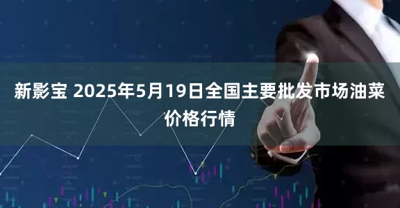 新影宝 2025年5月19日全国主要批发市场油菜价格行情