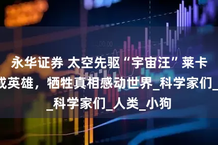 永华证券 太空先驱“宇宙汪”莱卡：流浪狗成英雄，牺牲真相感动世界_科学家们_人类_小狗