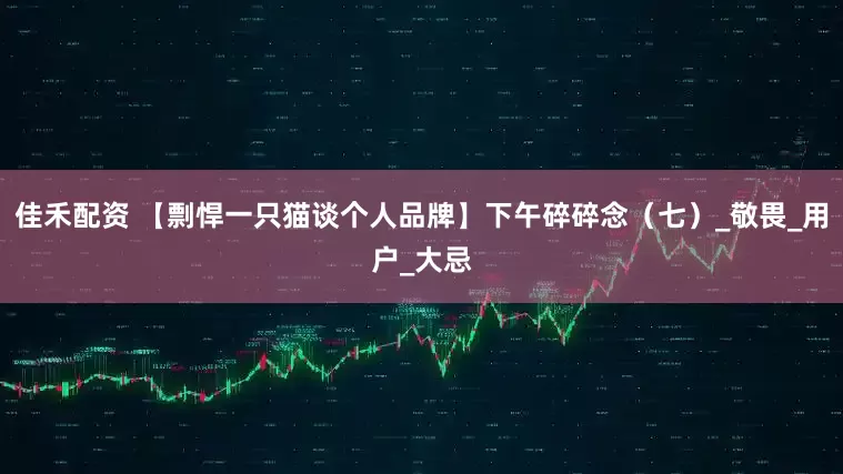 佳禾配资 【剽悍一只猫谈个人品牌】下午碎碎念（七）_敬畏_用户_大忌