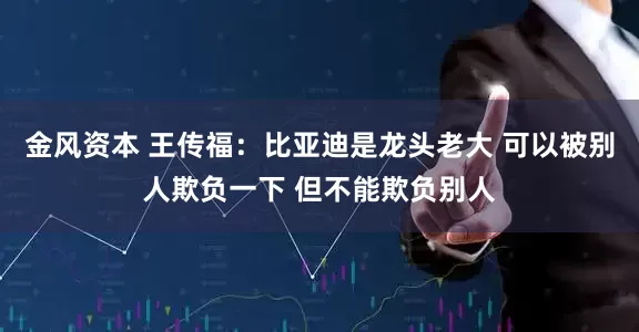 金风资本 王传福：比亚迪是龙头老大 可以被别人欺负一下 但不能欺负别人